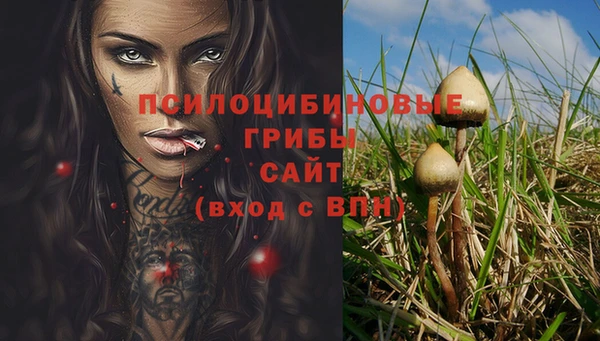 амф Аркадак