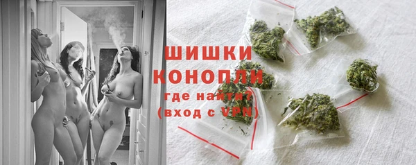 амф Аркадак