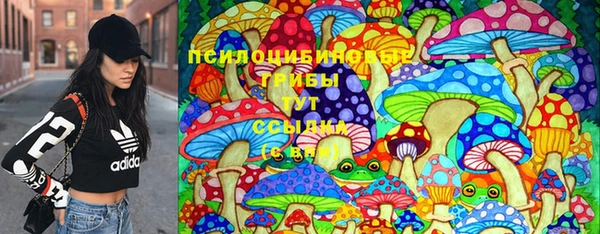 ПСИЛОЦИБИНОВЫЕ ГРИБЫ Армянск