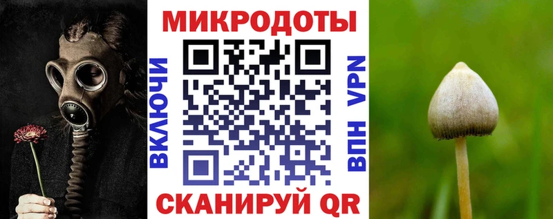 купить   Покров  Галлюциногенные грибы мухоморы 